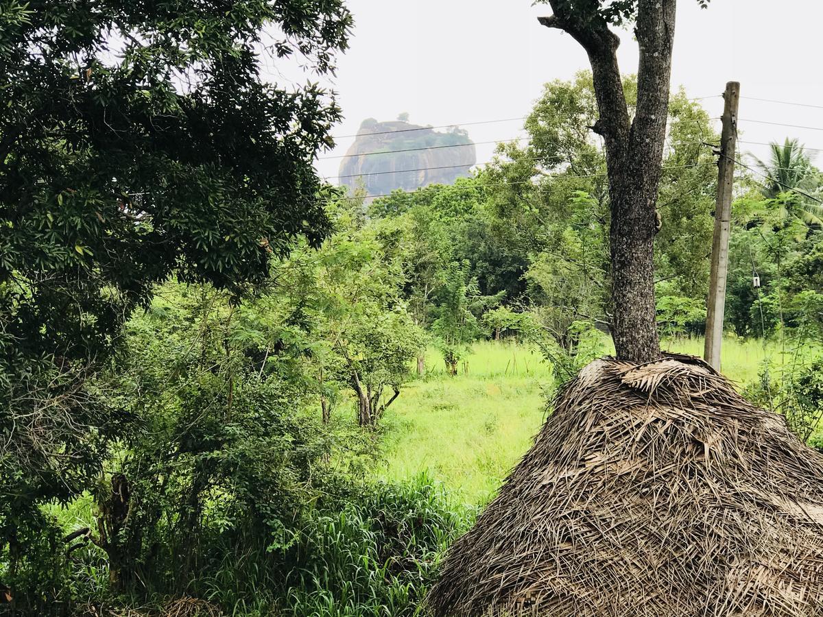 Отель Sigiriya Rock Hide Экстерьер фото