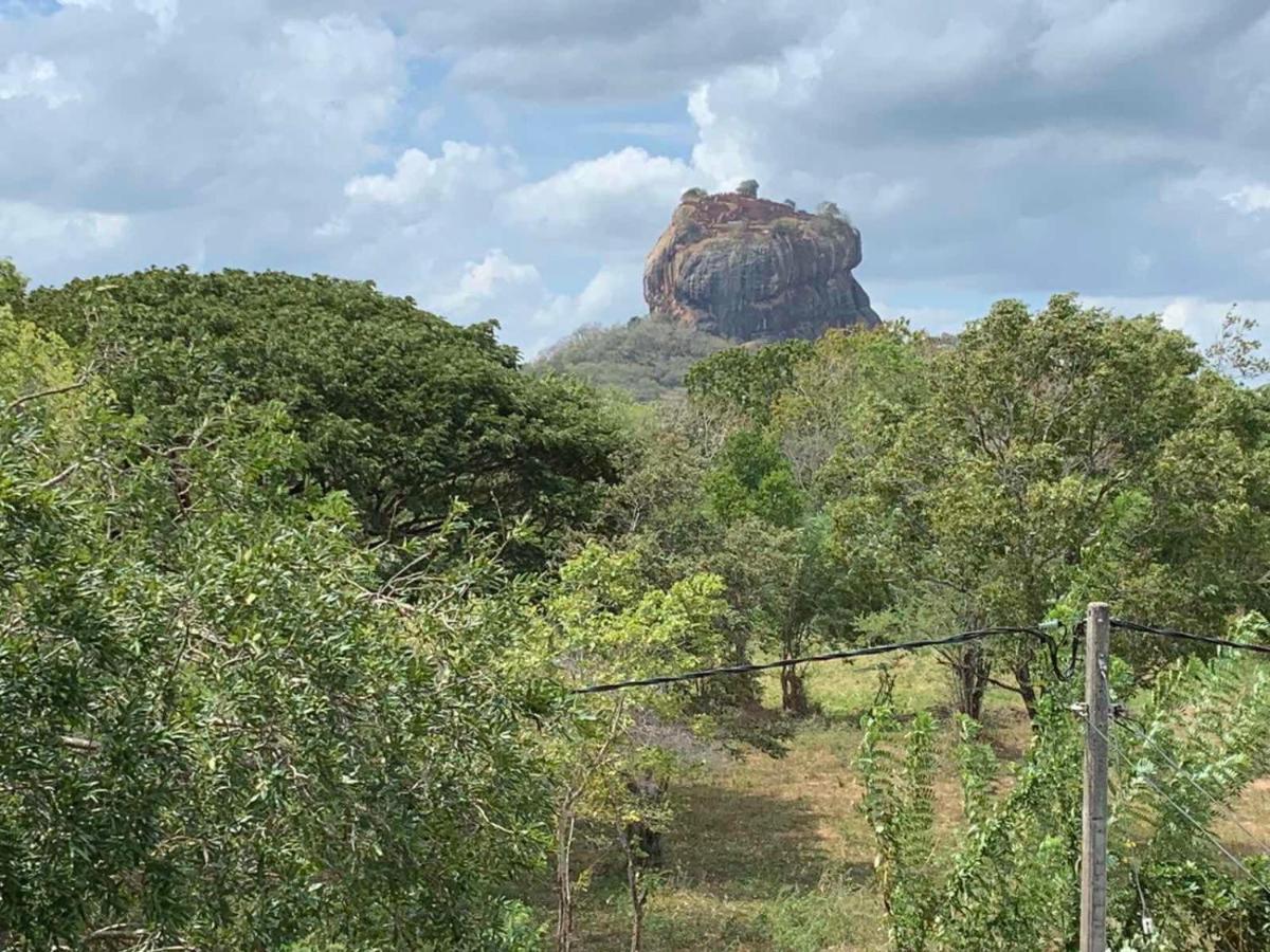 Отель Sigiriya Rock Hide Экстерьер фото