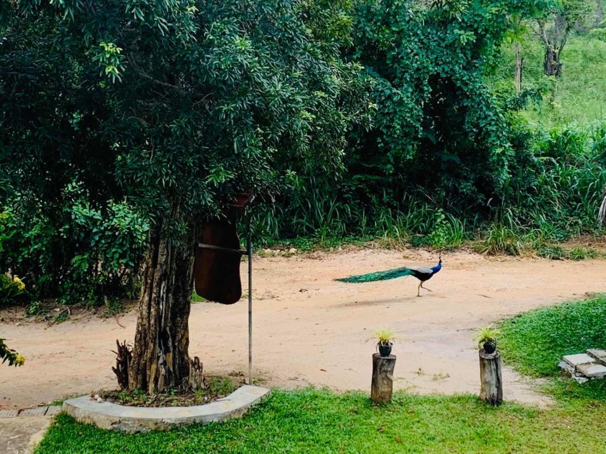 Отель Sigiriya Rock Hide Экстерьер фото