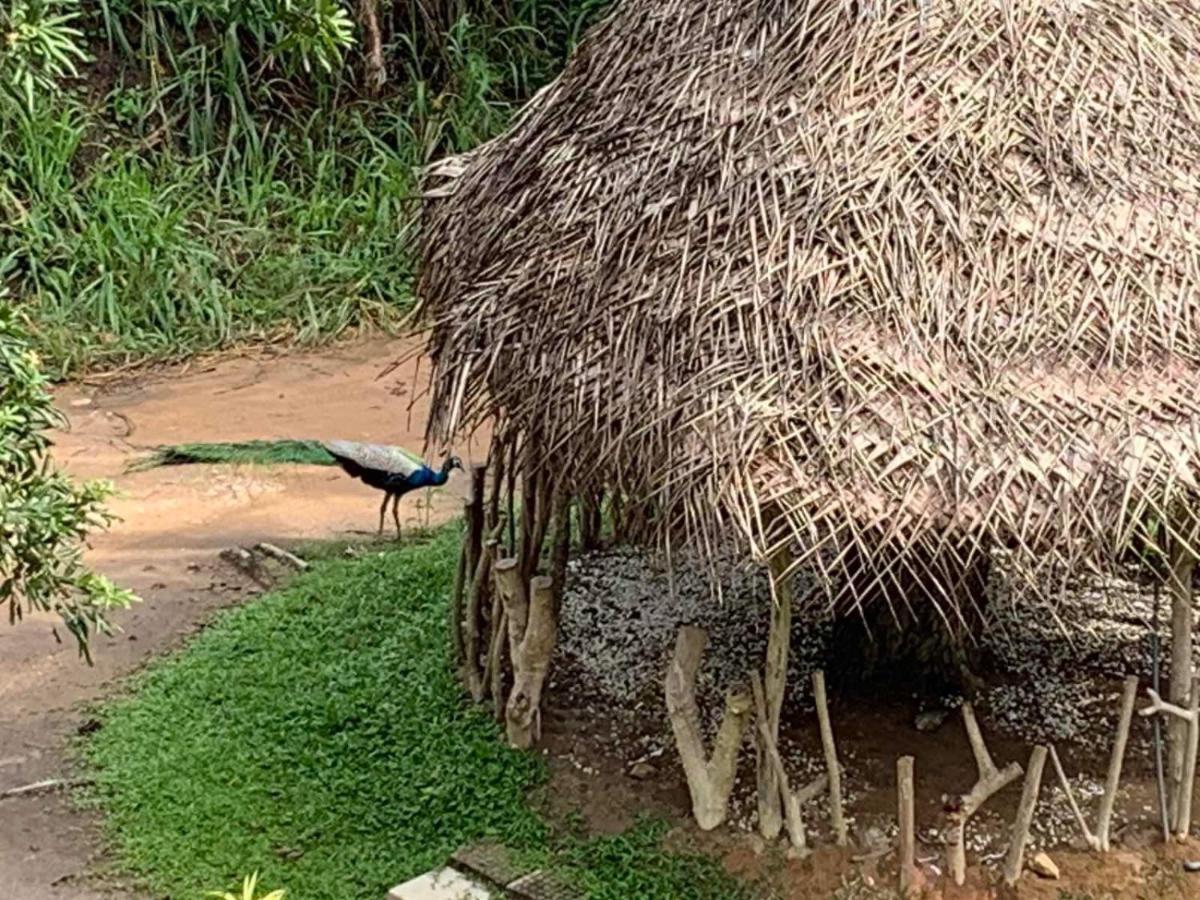Отель Sigiriya Rock Hide Экстерьер фото