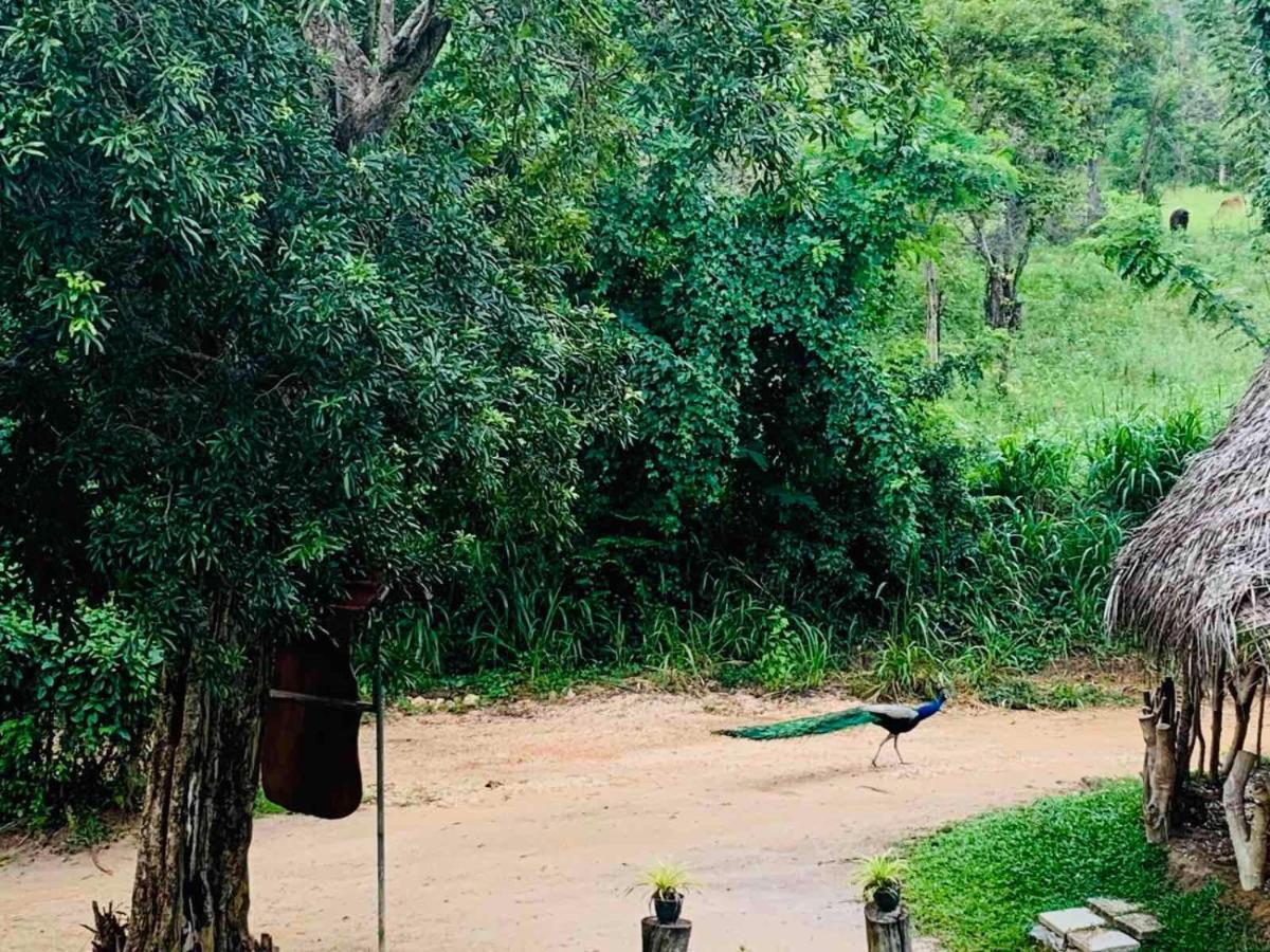 Отель Sigiriya Rock Hide Экстерьер фото